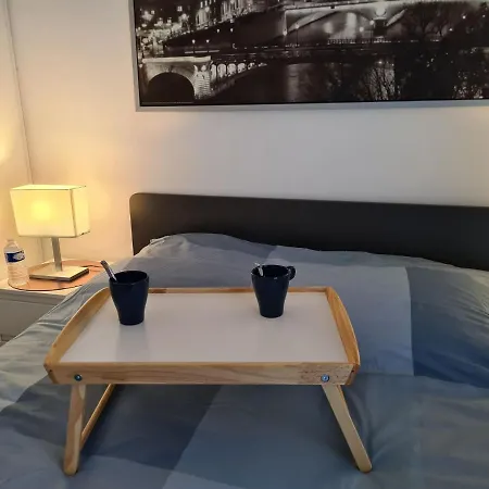 Avec Rez De Jardin A Disneyland Apartment *